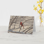 （鳥）ショウジョウコウカンチョウかロビンの嬉しい歌 カード (黄色い花)