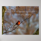 （鳥）ショウジョウコウカンチョウが現れると写真 ポスター (正面)