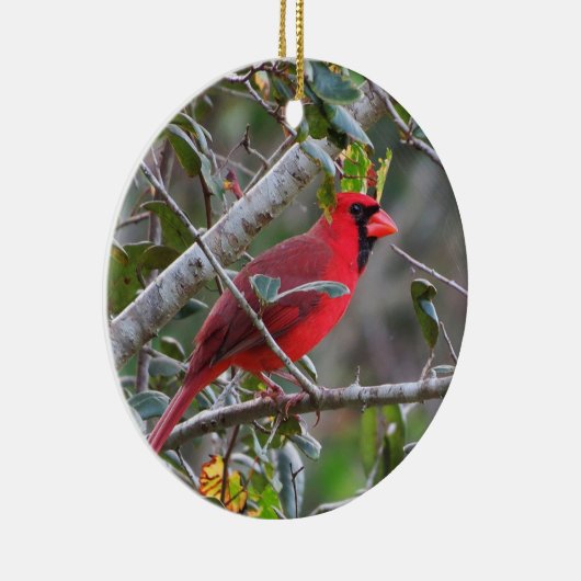 (鳥)ショウジョウコウカンチョウが現れると天国から愛される人は セラミックオーナメント (右)