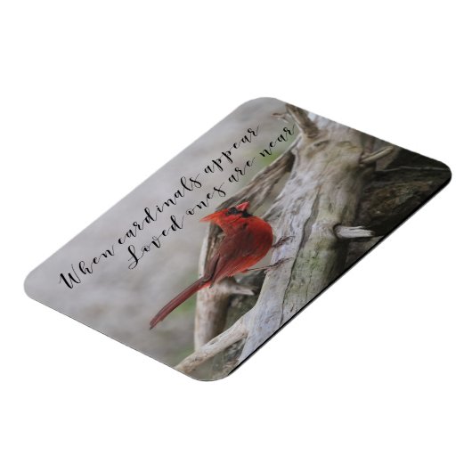 （鳥）ショウジョウコウカンチョウが現われるとき、家族は近くあります マグネット (左側)