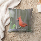 （鳥）ショウジョウコウカンチョウが石灰を守ってる！ クッション (ブランケット)