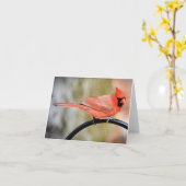 (鳥)ショウジョウコウカンチョウが羊飼いの中空白のに カード (黄色い花)