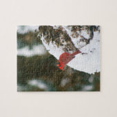 (鳥)ショウジョウコウカンチョウが雪に覆われた茂み ジグソーパズル (横)