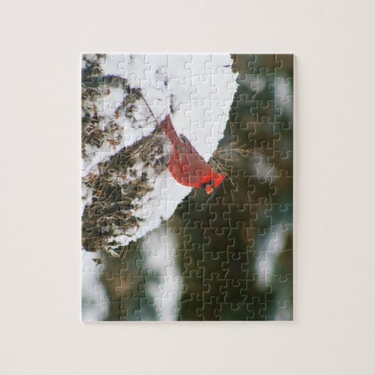 (鳥)ショウジョウコウカンチョウが雪に覆われた茂み ジグソーパズル (縦)