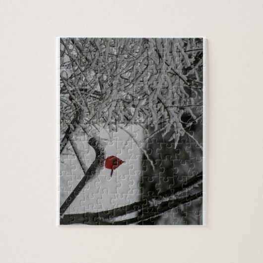 (鳥)ショウジョウコウカンチョウが雪の中で休息 ジグソーパズル (縦)