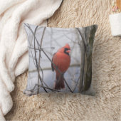 （鳥）ショウジョウコウカンチョウが霧に！ クッション (ブランケット)