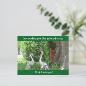 (鳥)ショウジョウコウカンチョウことわざこんにちは恋しく思お前 ポストカード (スタンド正面)