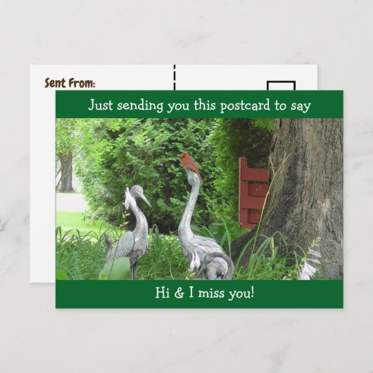 (鳥)ショウジョウコウカンチョウことわざこんにちは恋しく思お前 ポストカード (正面/裏面)