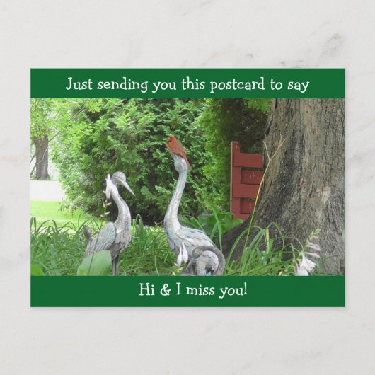 (鳥)ショウジョウコウカンチョウことわざこんにちは恋しく思お前 ポストカード (正面)