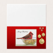 （鳥）ショウジョウコウカンチョウとオーナメント – 暖か疑問に思さ (外部フラット)