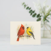 (鳥)ショウジョウコウカンチョウとゴールドフィンチの水の色のミニマリスト ポストカード (スタンド正面)