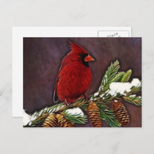 (鳥)ショウジョウコウカンチョウとピネコン ポストカード (正面/裏面)