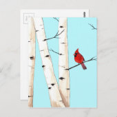 (鳥)ショウジョウコウカンチョウと樺の木ツリー ポストカード (正面/裏面)