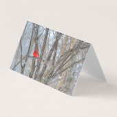 （鳥）ショウジョウコウカンチョウと《鳥》アメリカゴガラグリーティングカード (正面)