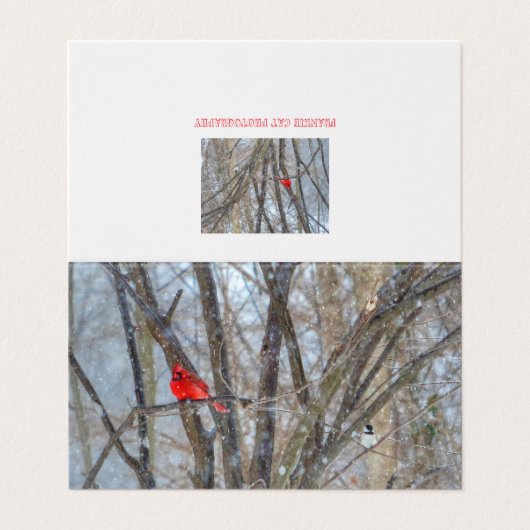 （鳥）ショウジョウコウカンチョウと《鳥》アメリカゴガラグリーティングカード (外部フラット)