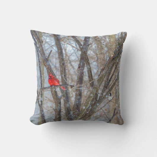 （鳥）ショウジョウコウカンチョウと《鳥》アメリカゴガラ クッション (正面)