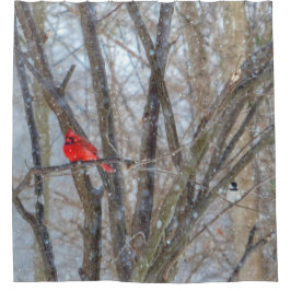 （鳥）ショウジョウコウカンチョウと《鳥》アメリカゴガラ シャワーカーテン