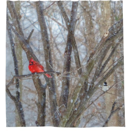 (鳥)ショウジョウコウカンチョウと《鳥》アメリカゴガラ シャワーカーテン (正面)