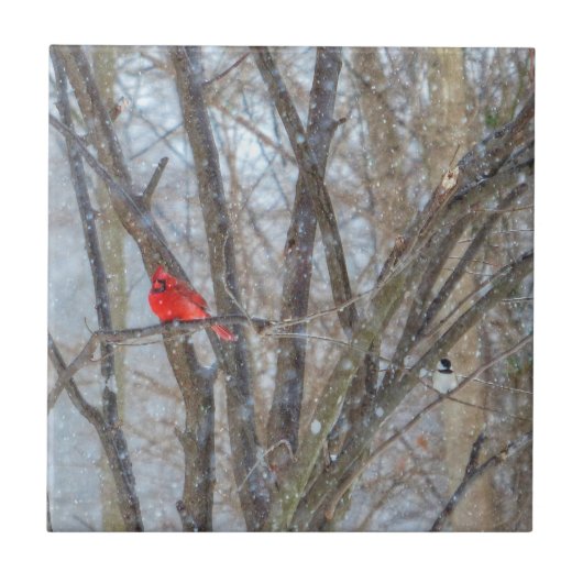 (鳥)ショウジョウコウカンチョウと《鳥》アメリカゴガラ タイル (正面)