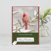 (鳥)ショウジョウコウカンチョウのクリスマスカード シーズンカード (スタンド正面)