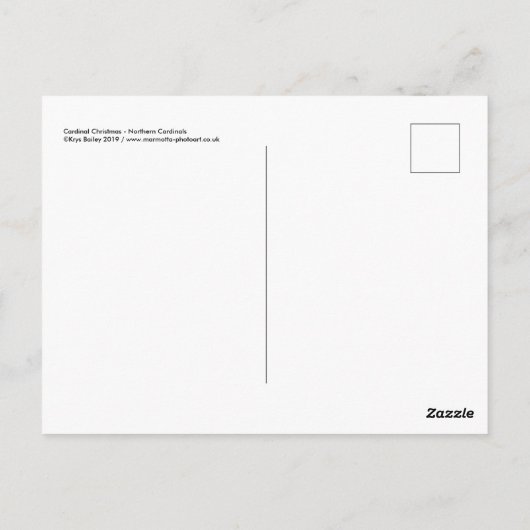 (鳥)ショウジョウコウカンチョウのクリスマスポストカード ポストカード (裏面)