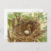 (鳥)ショウジョウコウカンチョウのネストポストカード ポストカード (正面/裏面)