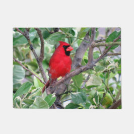 （鳥）ショウジョウコウカンチョウのレモンツリーに – Doormat ドアマット