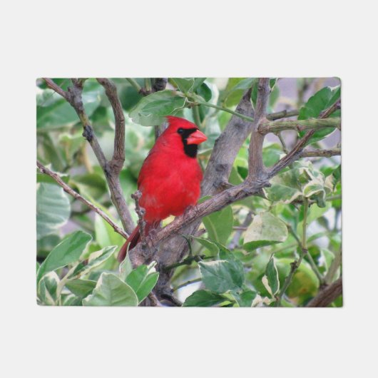 （鳥）ショウジョウコウカンチョウのレモンツリーに – Doormat ドアマット (正面)