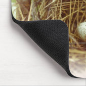 （鳥）ショウジョウコウカンチョウの卵のマウスパッド マウスパッド (コーナー)