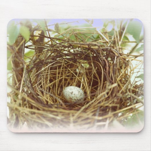 （鳥）ショウジョウコウカンチョウの卵のマウスパッド マウスパッド (正面)