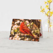 （鳥）ショウジョウコウカンチョウの日 カード (黄色い花)