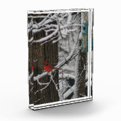 (鳥)ショウジョウコウカンチョウの森III フォトブロック (左)