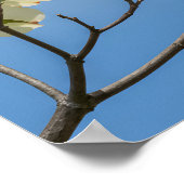 （鳥）ショウジョウコウカンチョウの求愛：ドッグウッドの夢の風景 ポスター (角)