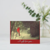 （鳥）ショウジョウコウカンチョウの祝日の贈答証 ポストカード (スタンド正面)