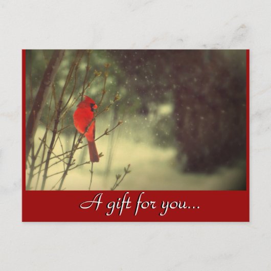 （鳥）ショウジョウコウカンチョウの祝日の贈答証 ポストカード (正面)