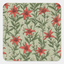 （鳥）ショウジョウコウカンチョウの花離れや模様