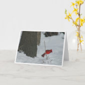 （鳥）ショウジョウコウカンチョウの雪 カード (黄色い花)