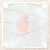 （鳥）ショウジョウコウカンチョウの雪 ガラスコースター (裏面)