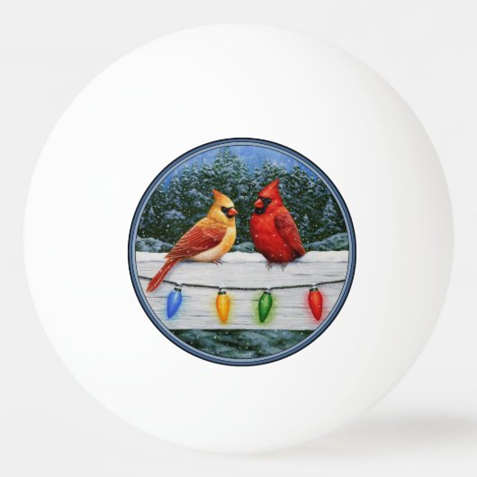 （鳥）ショウジョウコウカンチョウの鳥とクリスマスライト 卓球ボール (正面)