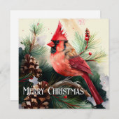 (鳥)ショウジョウコウカンチョウは常緑の木に羽状の植物で覆われている シーズンカード (正面/裏面)