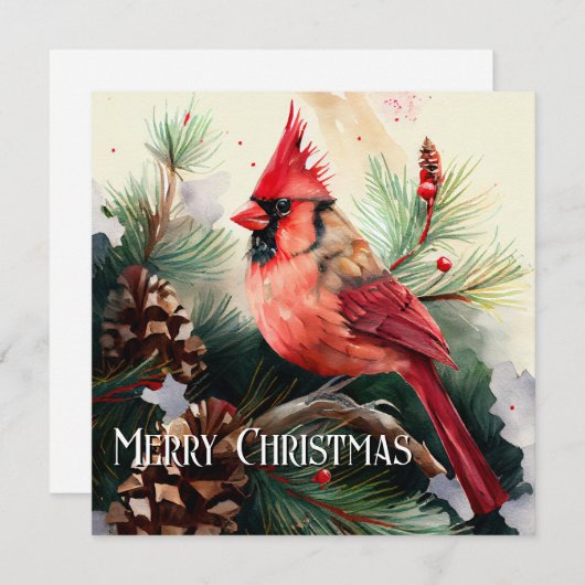 (鳥)ショウジョウコウカンチョウは常緑の木に羽状の植物で覆われている シーズンカード (正面/裏面)