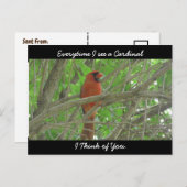 (鳥)ショウジョウコウカンチョウを見るたび考えに ポストカード (正面/裏面)