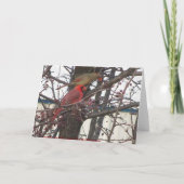 (鳥)ショウジョウコウカンチョウを食べ物を与えること、幸せな記念日 カード (裏面)