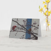 (鳥)ショウジョウコウカンチョウを食べ物を与えること、幸せな記念日 カード (黄色い花)