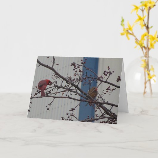 (鳥)ショウジョウコウカンチョウを食べ物を与えること、幸せな記念日 カード (黄色い花)