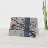 (鳥)ショウジョウコウカンチョウを食べ物を与えること、幸せな記念日 カード (正面)