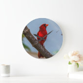 （鳥）ショウジョウコウカンチョウアクリル製の壁時計、円形 ラージ壁時計 (ホーム)
