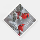 (鳥)ショウジョウコウカンチョウアジェムエンジェルズニアメモメブランス (コーナー)