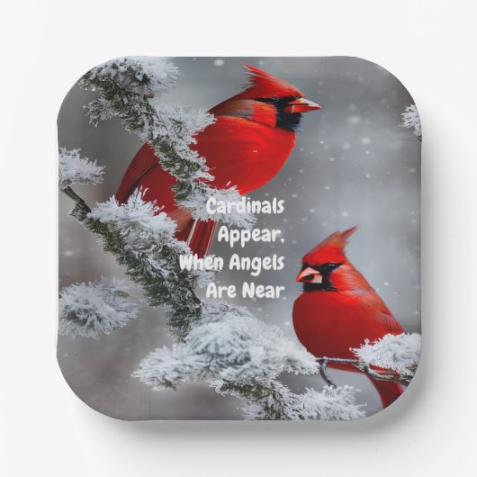 （鳥）ショウジョウコウカンチョウアジェムエンジェルズニアメモメブランス ペーパープレート (正面)