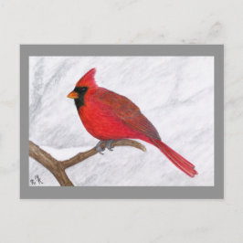 (鳥)ショウジョウコウカンチョウアートはがき ポストカード